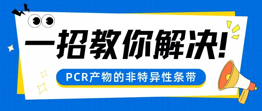 PCR产物惊现“杂带”？别慌，这几招帮你精准解决！