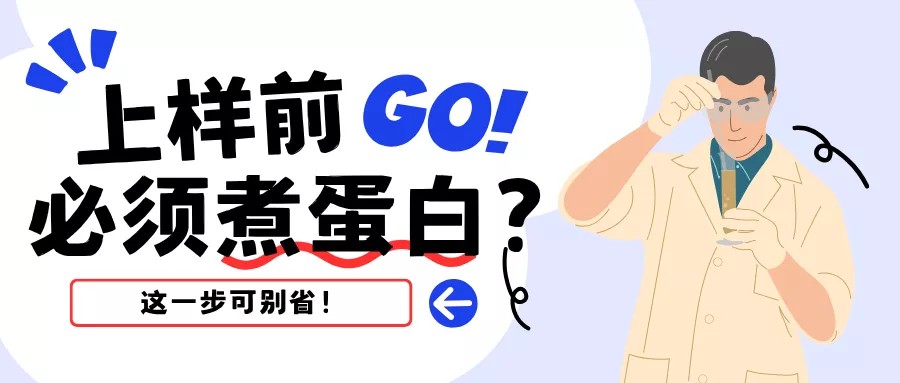 上样前必须煮蛋白？这一步可别省！