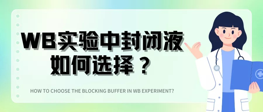 WB实验中封闭液如何选择？不同蛋白类型的封闭策略解析