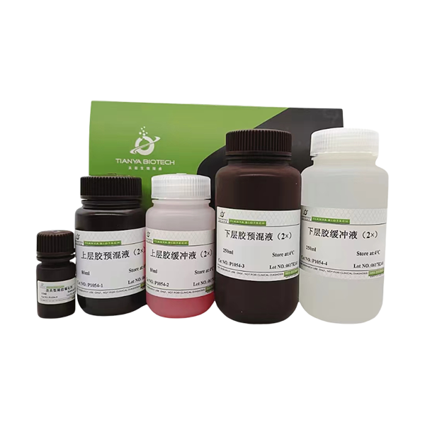 10%固定浓度超快速SDS-PAGE凝胶配制试剂盒