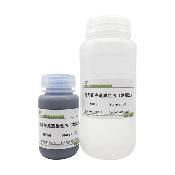 考马斯亮蓝染色试剂盒(常规法)