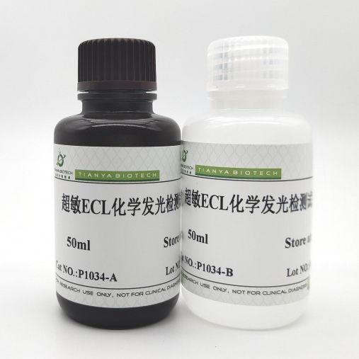 超敏ECL化学发光检测试剂盒