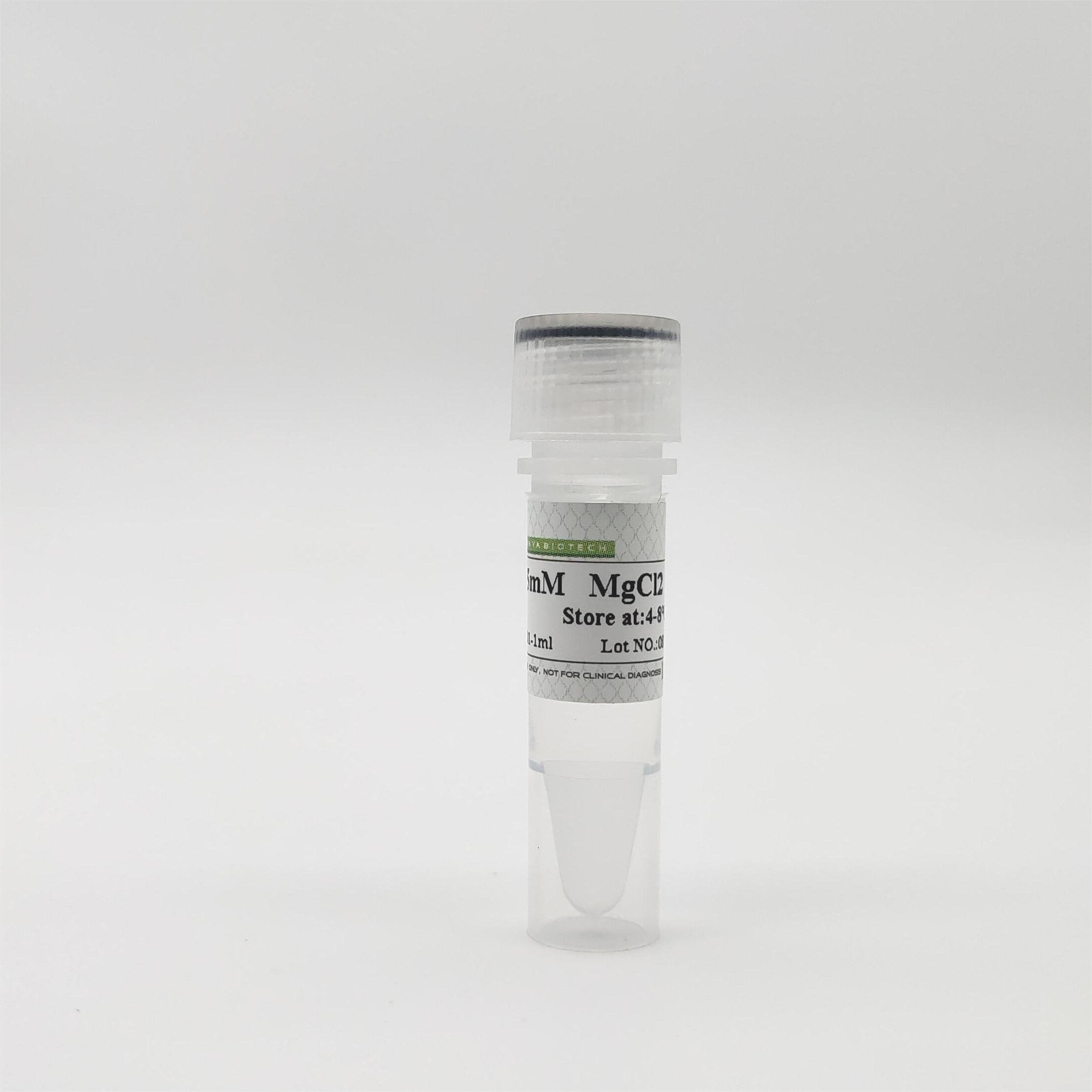 25mM MgCl2