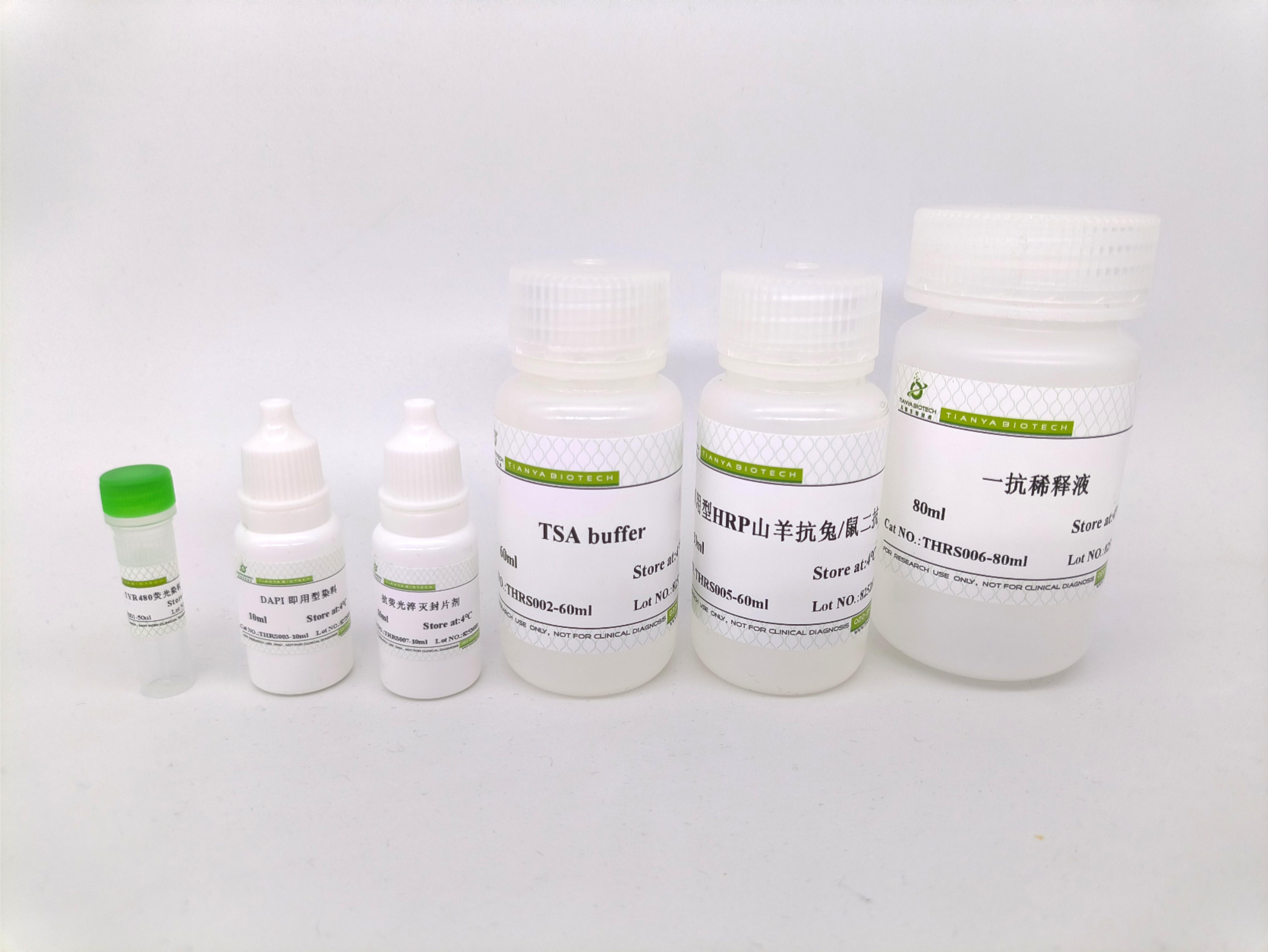 单标信号放大试剂盒（TYR480/兔鼠通用二抗）