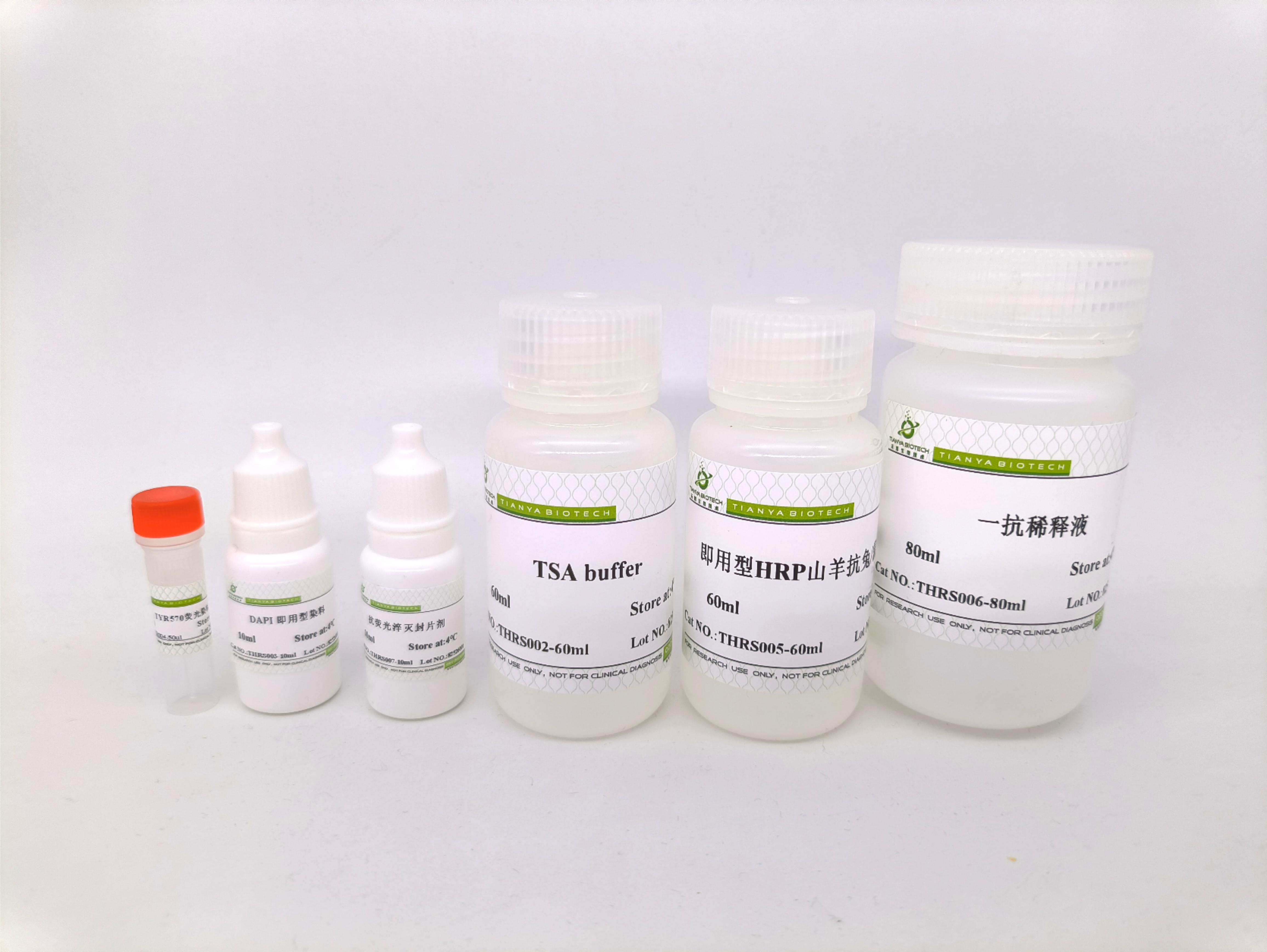 单标信号放大试剂盒（TYR570/兔鼠通用二抗）