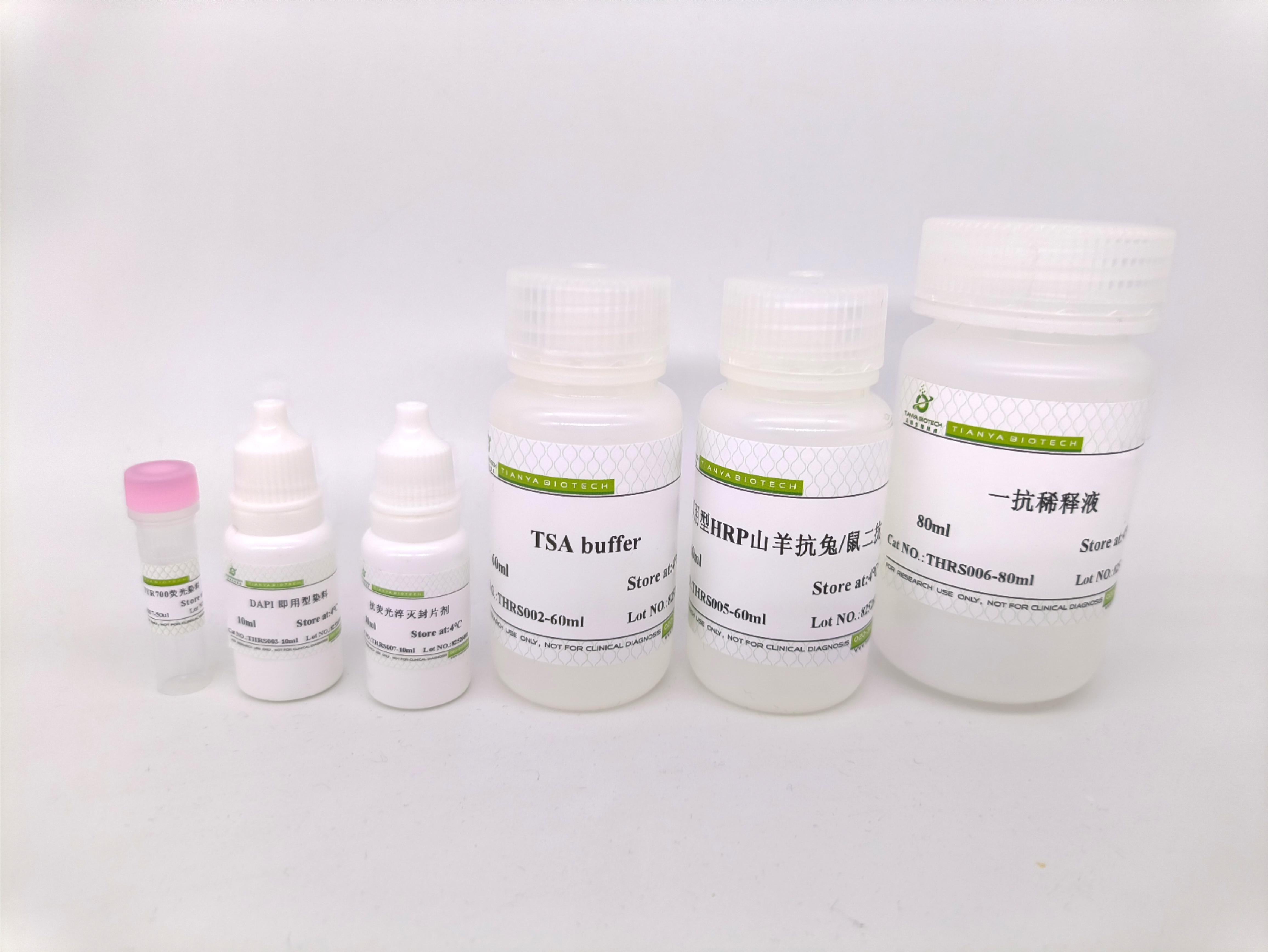单标信号放大试剂盒（TYR700/兔鼠通用二抗）