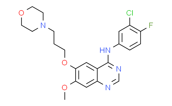 Gefitinib (ZD1839)