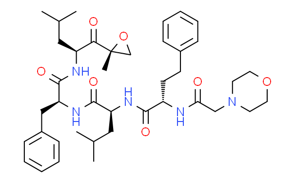 Carfilzomib (PR-171)